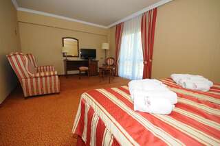 Отель Hotel Delfin Spa&wellness Домбки Двухместный номер Делюкс с 2 отдельными кроватями-4