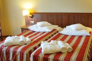 Отель Hotel Delfin Spa&wellness Домбки Стандартный двухместный номер с 1 кроватью-7