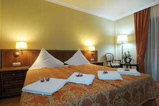 Отель Hotel Delfin Spa&wellness Домбки Стандартный двухместный номер с 1 кроватью-10