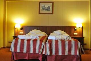 Отель Hotel Delfin Spa&wellness Домбки Стандартный двухместный номер с 1 кроватью-11